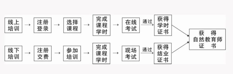 培訓(xùn)流程.jpg